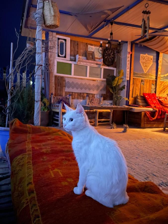Bed and Breakfast Agachill Surf House Tamraght Zewnętrze zdjęcie